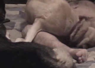 We get to see this dude fucking hole on the side