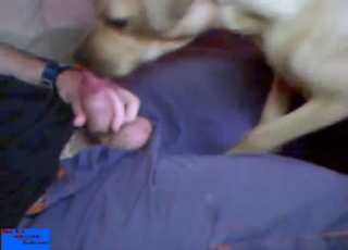 Bestiality sex shows him sticking his dick in dog