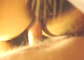 Wet-pussied mare shares its lust with him