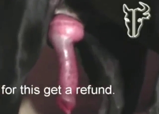 Dane dick is going to make this dude orgasm