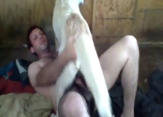 Zoo XXX shows a fat dude teasing his doggo