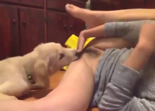 Good-looking Asian is going to get licked by dog