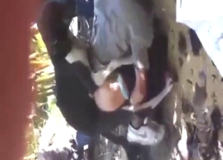 Dog pounding scene with doggystyle orgasms