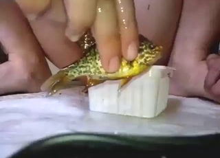 Fish porn XXX movie with a very sexy animal