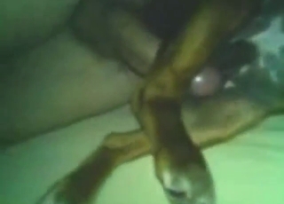 Lovely fuck scene with a beast that gets licked