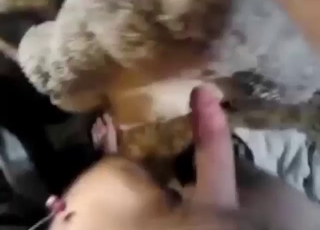 Horny and young dude fucking a stuffed toy