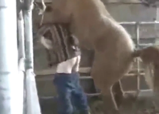 Dude's old bussy fucked by a hung horse here