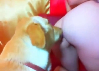 Stacked blonde is going to get fucked from behind