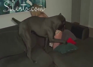 Good-looking lady in red boots fucks a dog