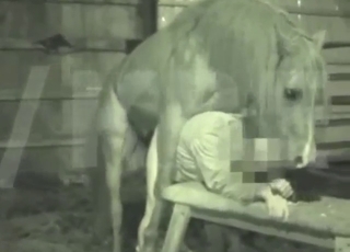 Horny animal is going to get off with a dude