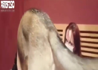 Zoo porn showing a sexy animal fucker on a bed