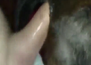 Bestiality sex looks badass with ass gaping