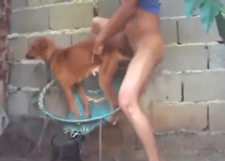 Hot animal shows what it can do with a hard D