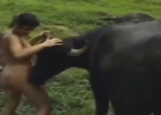 Zoo XXX with a hot brunette who gets licked