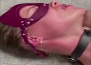 Bestiality porn movie showing a stockings girl