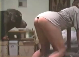 Great bestiality sex with a tight hole lady