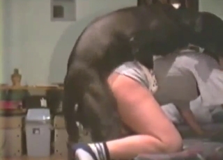 Great bestiality sex with a tight hole lady