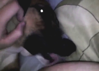 Dirty beast enjoys his hairy dick in a taboo vid