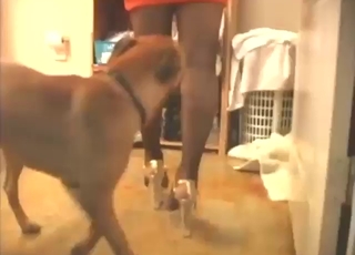 Juicy ass sissy is going to get fucked hard here