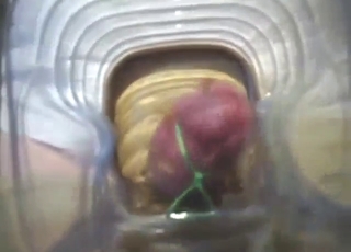 His dick will go through a lot in this taboo vid