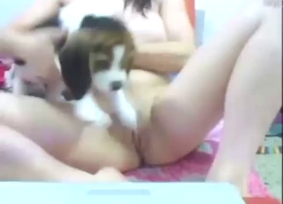 Stacked girl is going to showcase her vag for dog