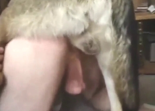 Good-looking dog is going to fuck that asshole