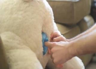 True toy fuck in a zoo sex vid with hot gaping