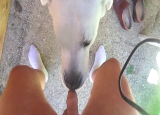 Brilliant anal fuck movie with a horny gay guy