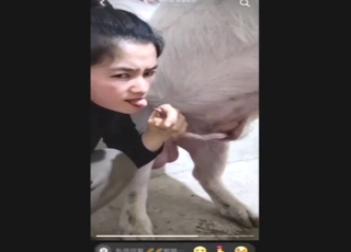 Pig from China fucking this brunette's wet vag