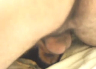 Rottweiler dog is going to get fucked by a guy