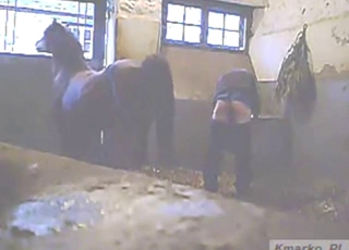 Gay stallion is eyeing this dude's sexy booty