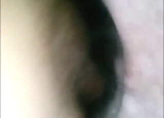 Pig fuck movie with a guy who wants that hole