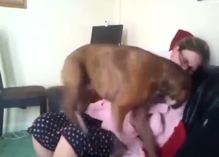 Geeky-looking MILF gets horny for her dog