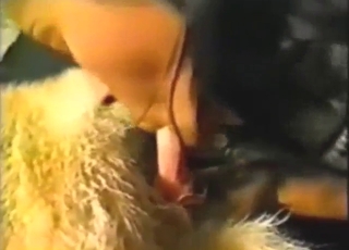 Zoophile lady gets a nice blowjob from that dog