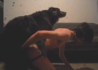 Homemade movie with a dog fucking deeper