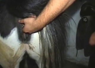 Obedient mar getting finger-popped prior to sex