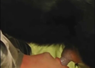Dog shows no mercy for that zoophilic throat