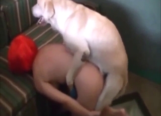 Bestiality porn from Brazil: hot bitch bottoms