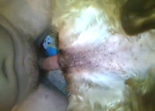 Horny beast with a hot pussy fucks a kinky guy
