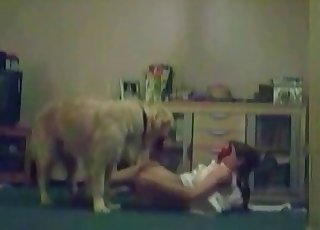 This whore wears white clothes and goes for a dog cock