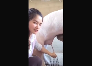 Pig-sucking Chinese lady practicing her craft