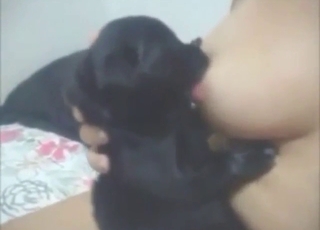 Puppy sucking tits in a hot bestiality porn