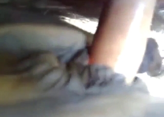 Mare wants to get fucked by a horny dude