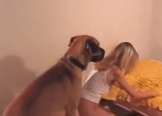 Doggystyle fuck with a dog that gapes pussy