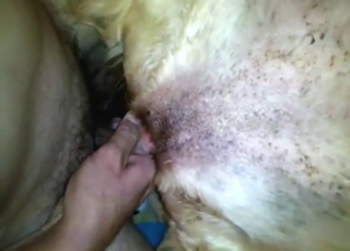 Zoo XXX with a dog getting off with his dick