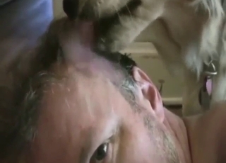 Zoophile porn shows a guy taking dog cock