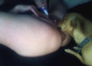 Bestiality sex with a dog that licks ass and pussy