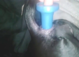 Zoo sex anal porn with a black dog that gets off