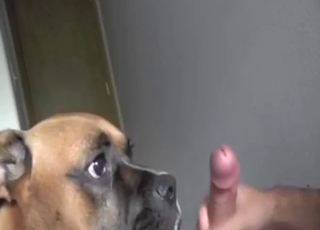 Zoo sex scene with a guy who wants to fuck dogs