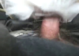 Nice fuck with a guy who knows how to fuck deer